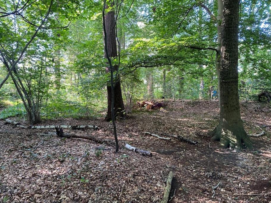 Willa De Springop Eefde Zewnętrze zdjęcie